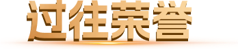 过往荣誉