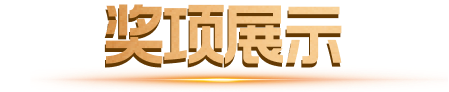 奖项展示