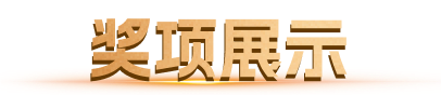 奖项展示